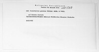 Image of Coniothyrium genistae